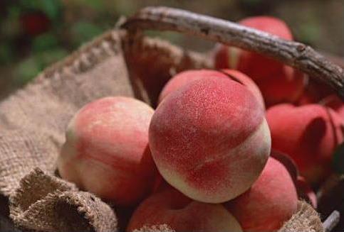 ʲô�������Ӻóԣ�������ѡ���ʵ�����