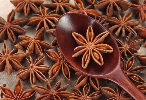 ���ϵ�С����-�����ô��ϵ�С����