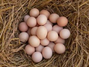 散装鸡蛋保质期多长时间？长时间存放鸡蛋营养损失