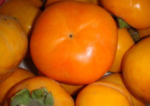 ����̫ɬ��ô�죿���������ȥɬ