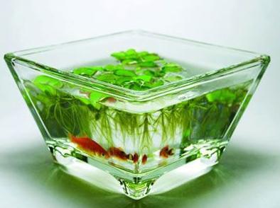 �Ҿӷ�ˮ��׵İڷ�