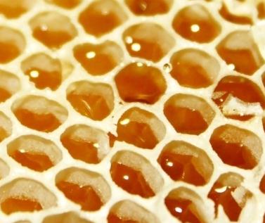 ��ð�佺�нϴ�Σ��