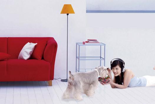 ��������ȡů��ʽ������������ʺϼ�ͥסլ���������ֲ�ů��ʽ�ıȽ�