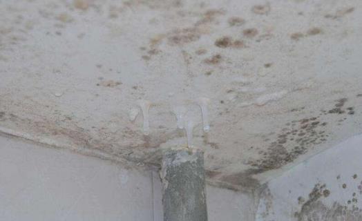 回南天衣物如何防潮?回南天墙上发霉怎么处理