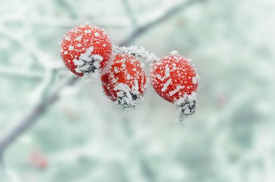 2021年什么时候打霜?霜降之前会下霜吗?