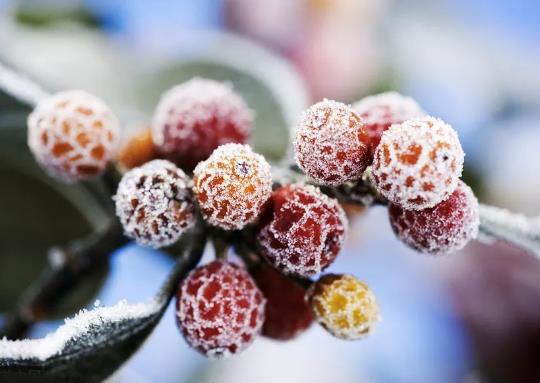 2021年什么时候打霜?霜降之前会下霜吗?