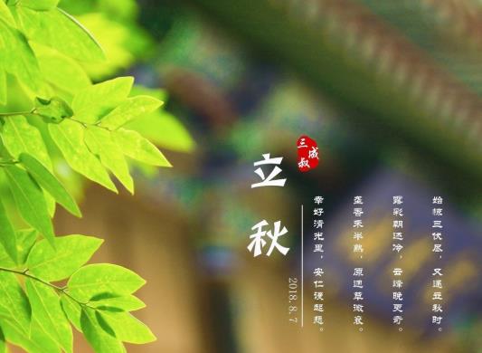 东北立秋后雨水多不多?东北立秋后气温大约多少度?