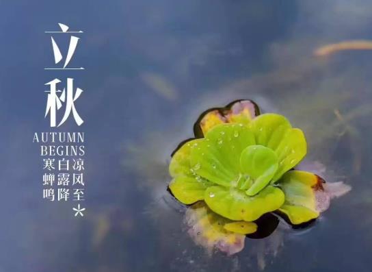 东北立秋后雨水多不多?东北立秋后气温大约多少度?