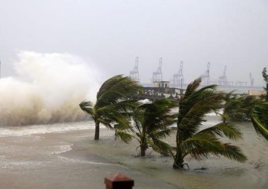 台风天车子被淹了怎么办?台风天车被树砸了保险赔吗