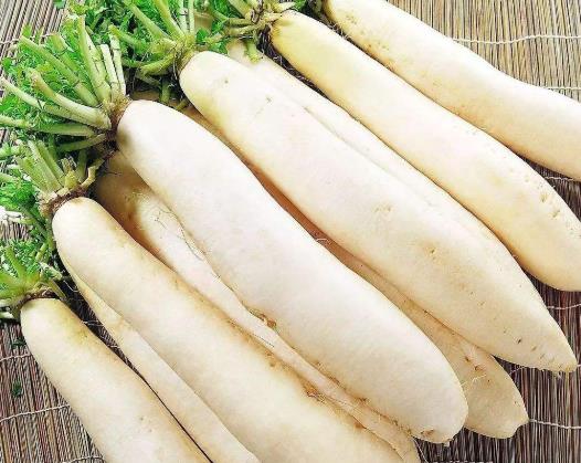 白萝卜什么时候容易裂根?种萝卜为什么要摘叶