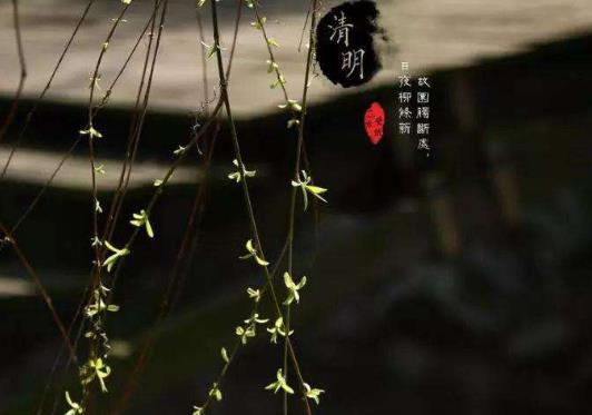 清明节左右天气变化很大是什么原因?清明节穿什么衣服合适