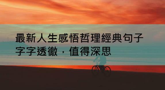 ���������ں����� 2020����������������˵˵��ѡ����