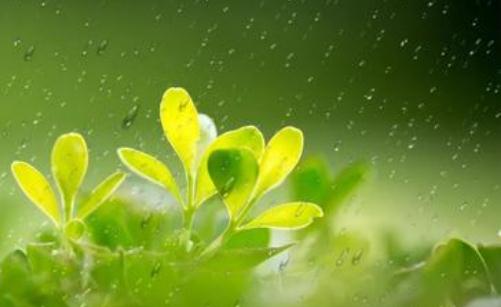 “秋千节”是什么节?“秋千节”的起源是什么?