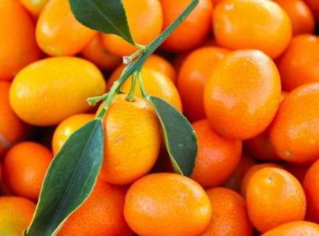 �����ܳԽ���𣿱����Խ�۵�����