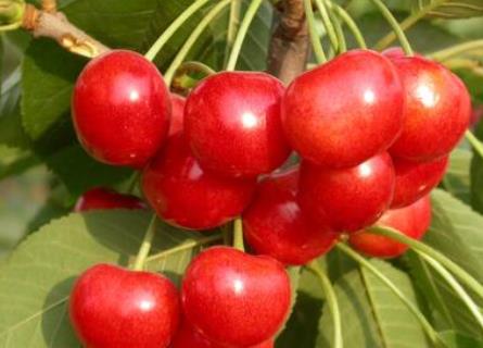 �����ܳ�ӣ���𣿱�����ӣ�ҵ�����