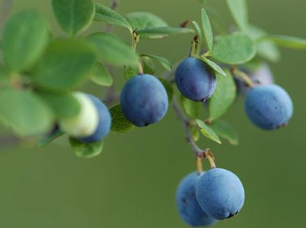 �и��ܳ���������и����������ʲô�ô�