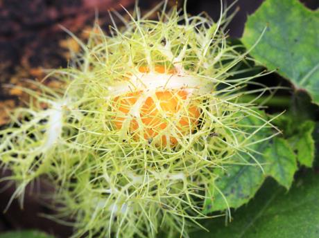 �и��ܳ���������и����������ʲô�ô�