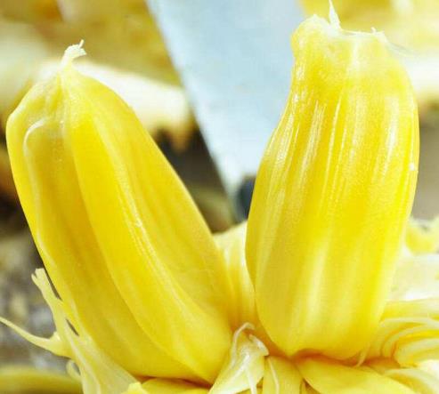 孕妇能吃菠萝蜜吗?孕妇怎样吃菠萝蜜才安全