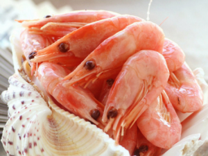 北极甜虾的医疗效果-北极甜虾怎么吃