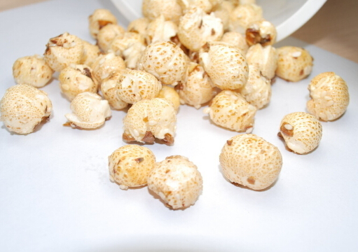 ���׻���Σ��-���衰���׻��Ρ�