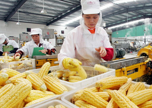 ��֬���������潡��-ʳƷ��ҵ��Ϊ��֪������