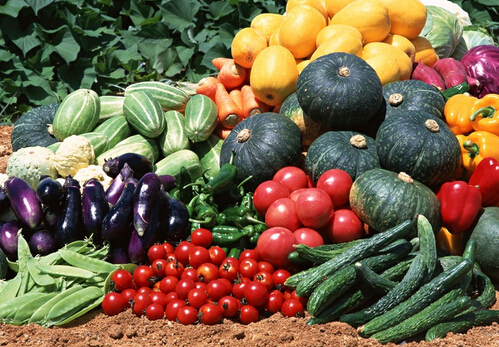 ��Ҫ���Ŷ����Ǹ߸�ʳƷ-���ز��ƻ���