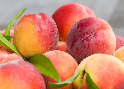 ���ӳԶ��˻���ô�������ӳԶ����ϻ���