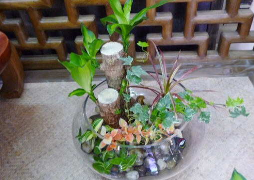 ����ľ�ķ�ˮѧӦ��-����ľ�ڼҾ��е�����