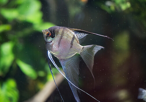 �������װڷ�λ��-�����Ʒ�ֽ���