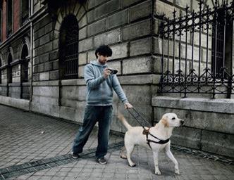 in����ʲô��˼����������in����ʲô��˼