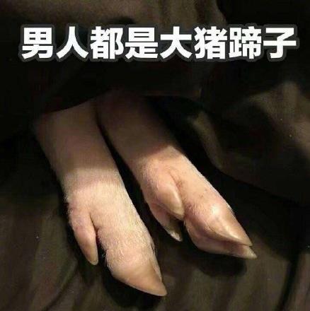 男人都是大猪蹄子是什么意思什么梗?女人吐槽男人没有一个好东西