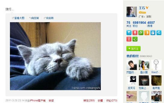 ��ʯ�»����ӬB΢���ع⣬���˰����Կ��⣬΢��ɹͬһֻè