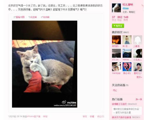 ��ʯ�»����ӬB΢���ع⣬���˰����Կ��⣬΢��ɹͬһֻè