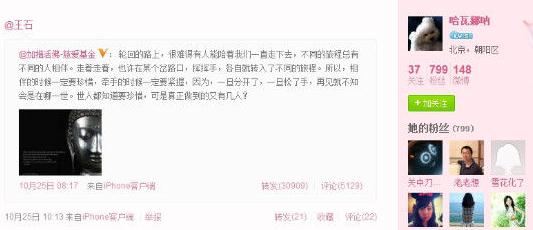 ��ʯ�»����ӬB΢���ع⣬���˰����Կ��⣬΢��ɹͬһֻè