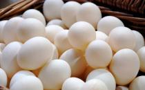 鸡蛋不宜与哪些食物同食？鸡蛋与什么同食不好