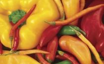 为什么吃完辣椒容易拉肚子？吃辣椒拉肚子怎么办