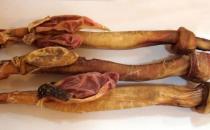 吃动物鞭能壮阳吗？吃动物鞭补肾壮阳的禁忌