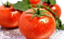 食用番茄有什么禁忌？吃番茄的注意事项