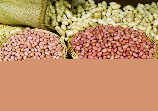 花生是高饱腹感食物-吃花生有助于稳定血糖