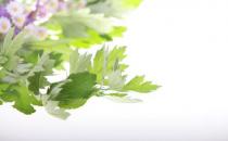 你知道吗？艾草有美容养颜的功效