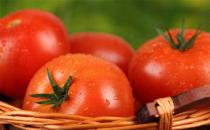 吃西红柿可防治6种病亦有禁忌