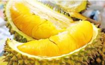 水果之王榴莲切不可与白酒同食