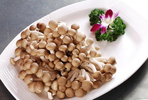 宝宝能吃蟹味菇吗？怎样吃蟹味菇才安全