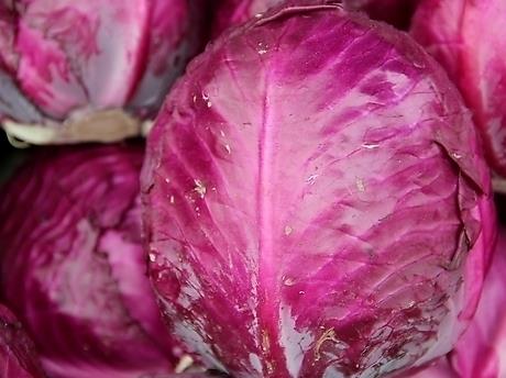 孕妇能吃紫甘蓝吗？孕妇吃紫甘蓝的做法