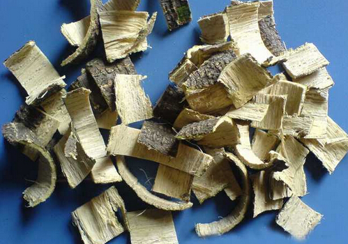 合欢皮的功效与作用-合欢皮的介绍