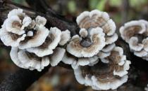 正确预防乙肝的方法