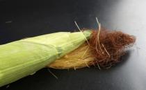 小小玉米须的大大功效：玉米须食疗方