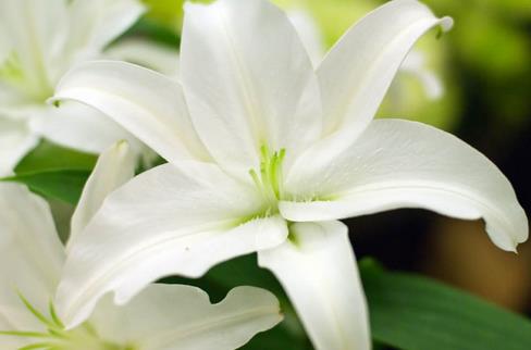 四大宝贝助你赶走秋燥 让你健康养生