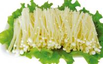 正确认识毛囊炎 毛囊炎传染吗？