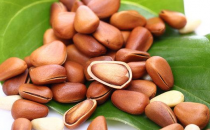 男人长寿吃什么？松子助强身